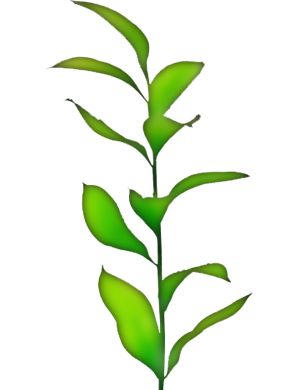 https://www.shiningairtek.com/wp-content/uploads/2018/09/Img1-300x390.png
